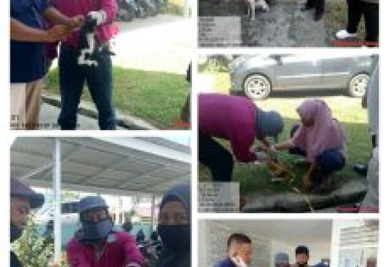 Hewan Peliharaan di Empat Kelurahan Divaksin