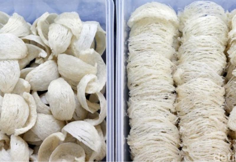 Ekspor Sarang Burung Walet, Pengusaha Wajib Bersertifikat NKV