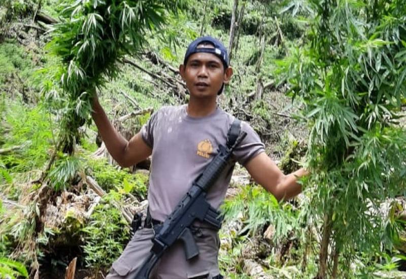 Ladang ganja di RL
