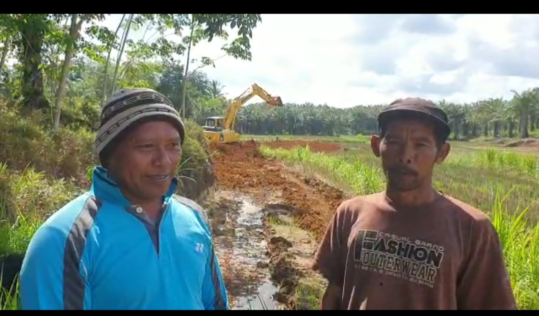 Petani Desa Tirta Mulya.