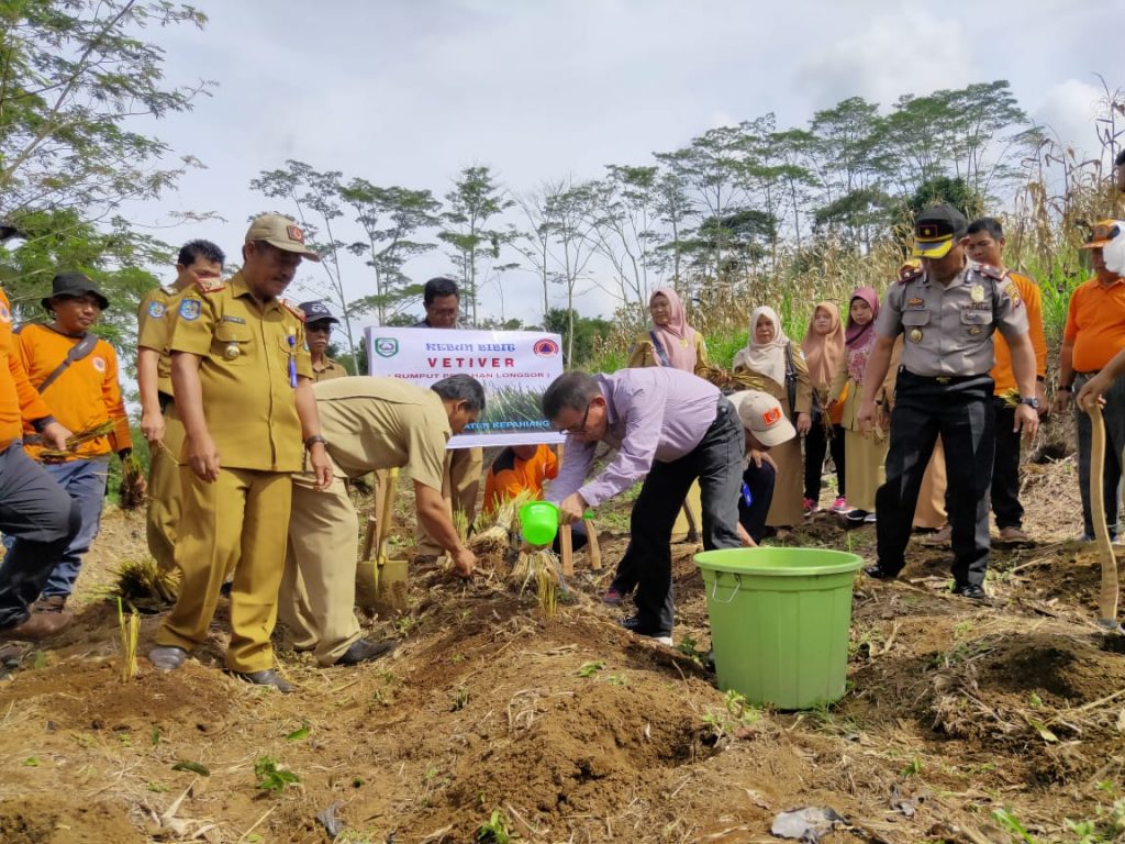 Bupati saat menanam rumput vetiver.