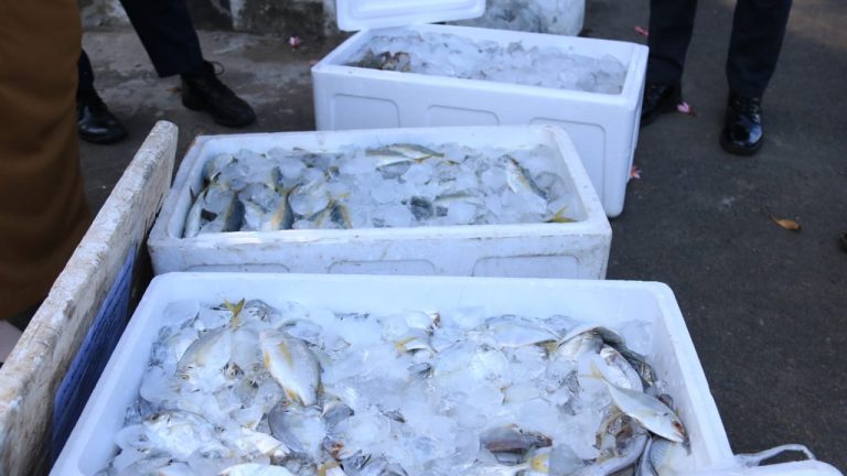 Nelayan Beri Hadiah Ikan Segar ke Tim Medis RSHD