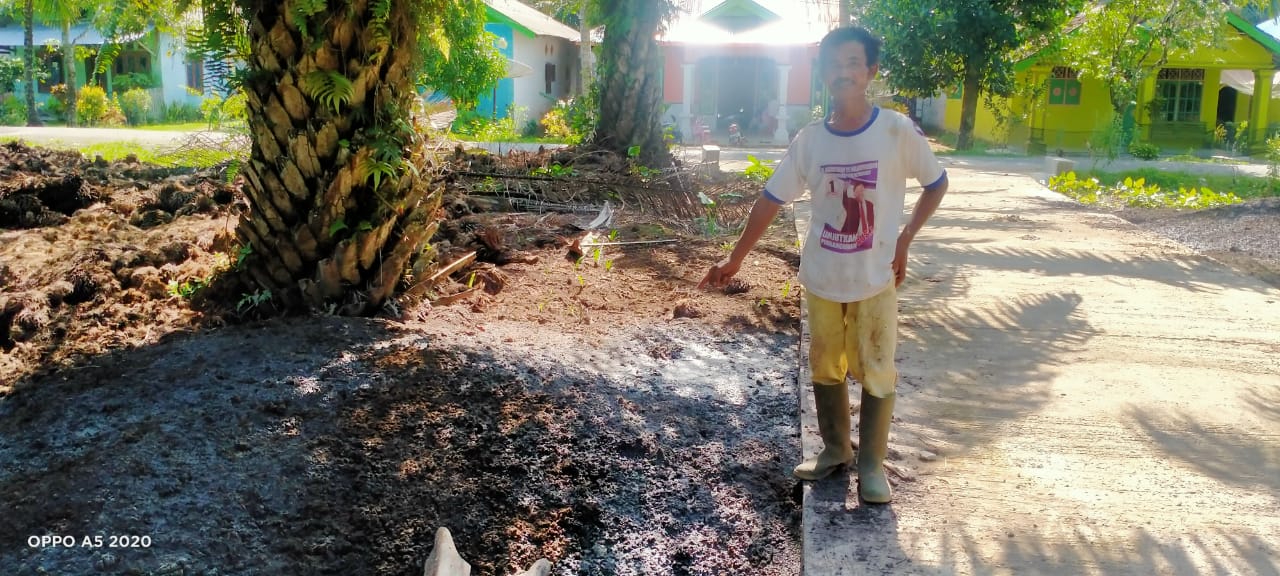 Berbau Tak Sedap, Lahan Sawit Berpupuk Limbah Milik Anggota Dewan Dikeluhkan Warga