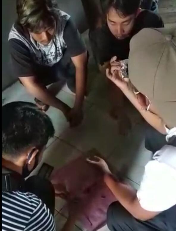 4 Pemuda Panorama Dibekuk Polisi Usai Edarkan Tembakau Gorila