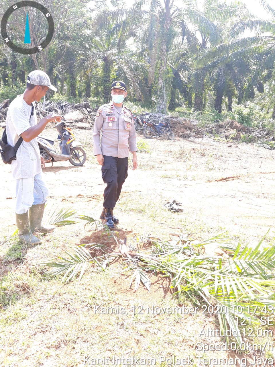 97 Batang Sawit Milik PT MMAS Dirusak OTD