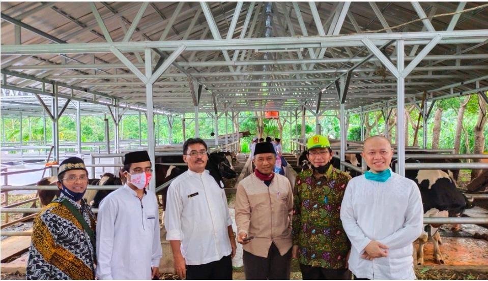 Kembangkan Sapi Perah di Pesantren, Kemenag Jajaki Kerjasama Dinas Peternakan