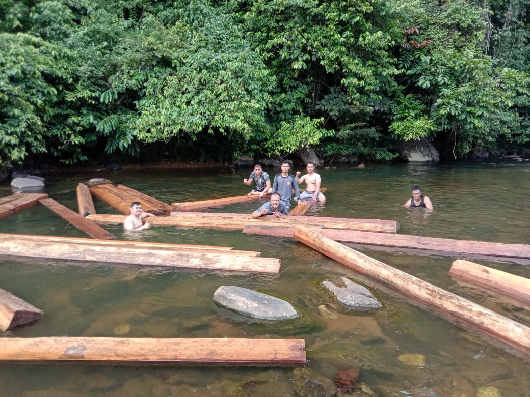 Diduga Hasil Illegal Loging, 5 Kubik Balok Kaleng Tak Bertuan Diamankan 