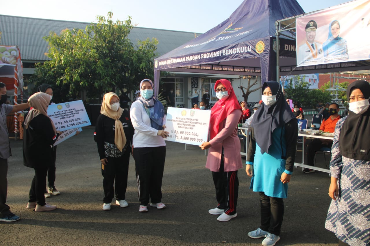 Dispangtan
