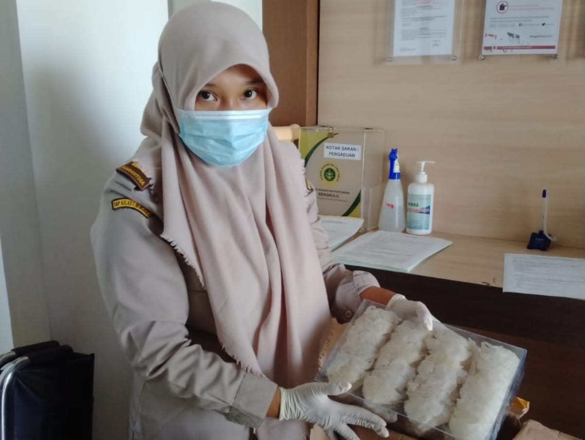 Petugas Karantina mengecek kebersihan Sarang Burung Walet