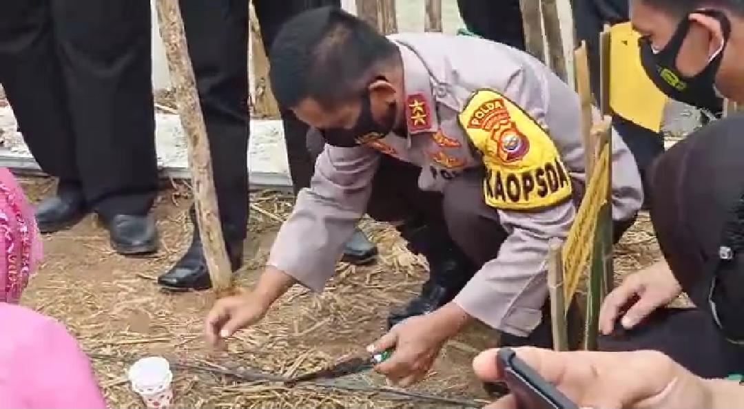 Lahan Padepokan Nur Al-Islah Ditebar Bibit Lele dan Sorghum