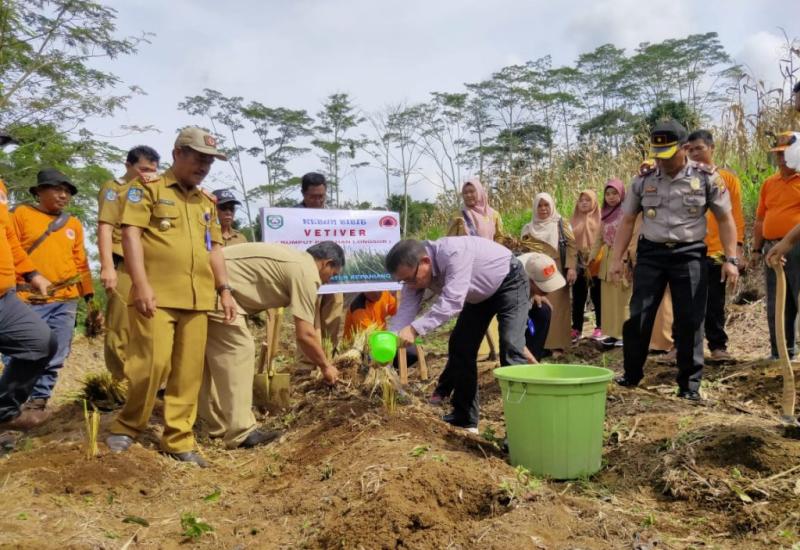 Bupati saat menanam rumput vetiver.