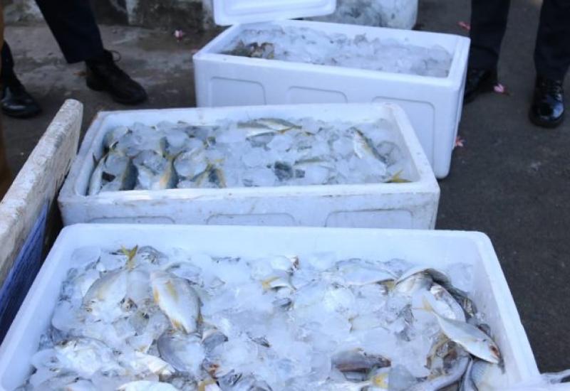 Nelayan Beri Hadiah Ikan Segar ke Tim Medis RSHD