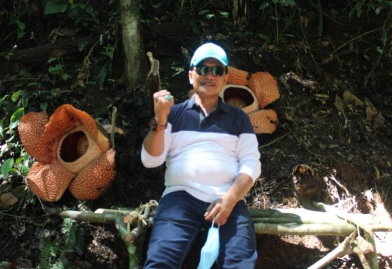 2 Rafflesia Mekar, Bikin Bupati dan Rombongan Jatuh Hati