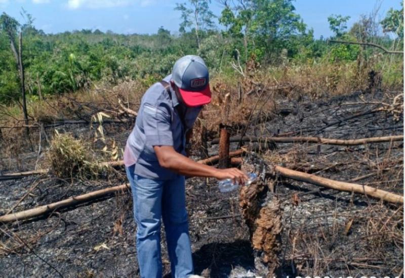 Di Seluma Ditemukan Lahan 1/4 Hektar Terbakar