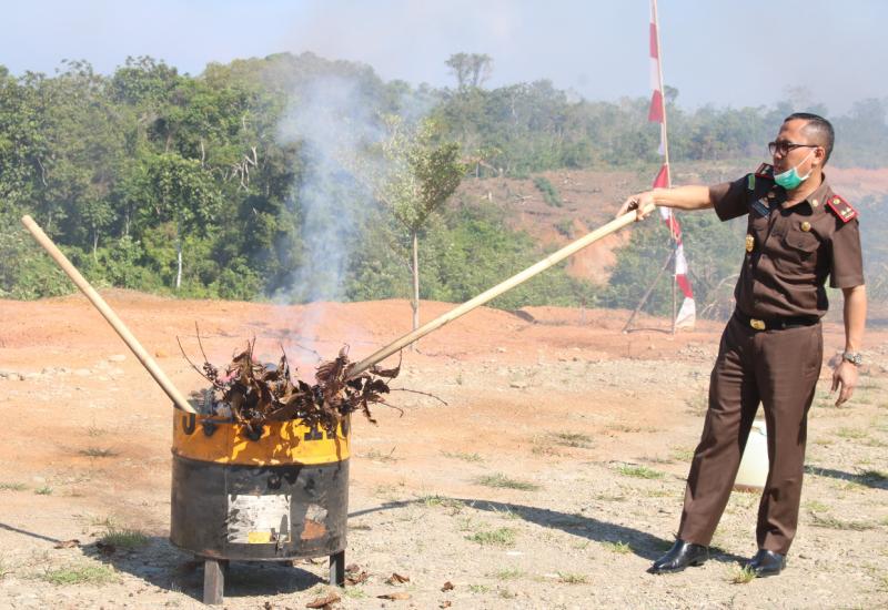 Kajari Benteng Musnahkan 37 BB Tindak Pidana Umum