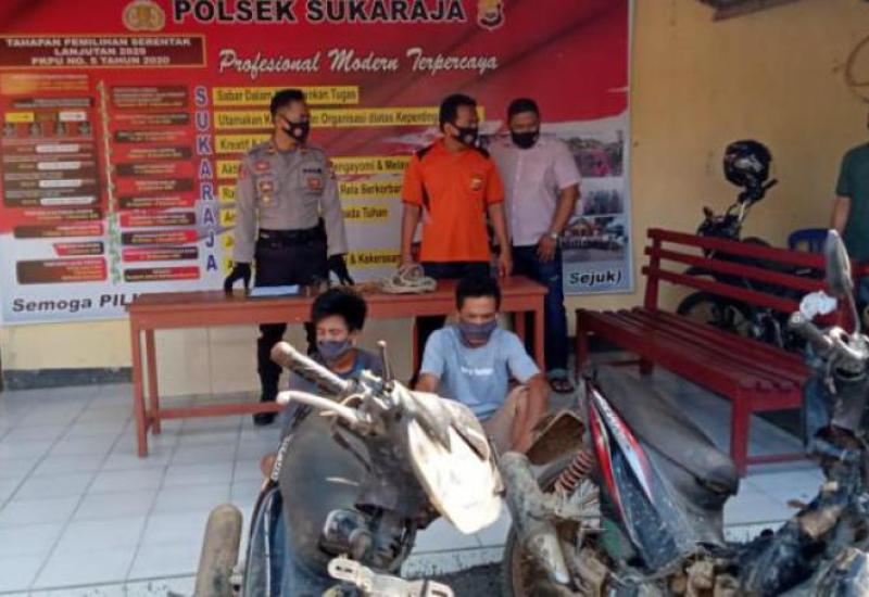 Curi Sapi di Air Kemuning, Dua Warga Seluma Diciduk