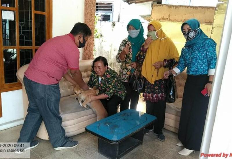 Cegah Penybaran Rabies, Anjing dan Kucing Divaksin