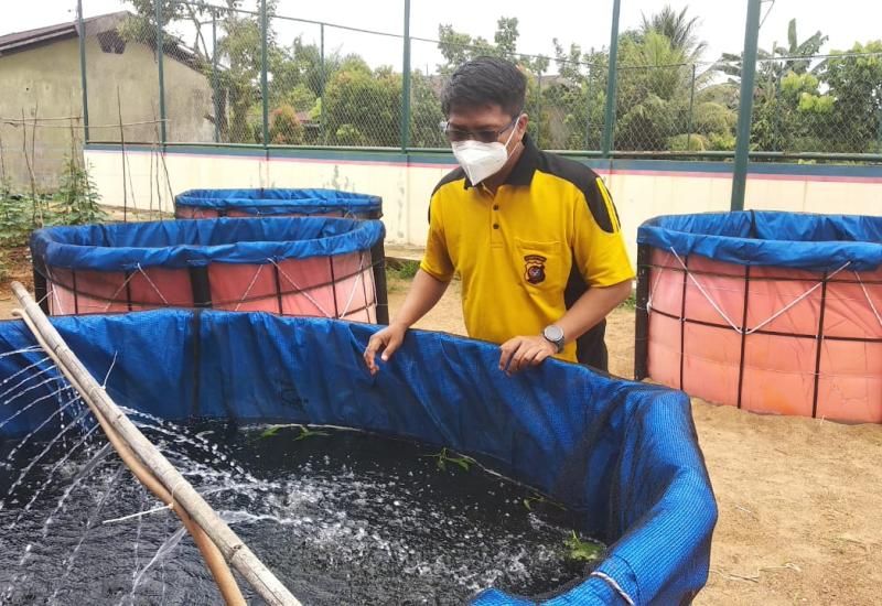 Jaga Ketahanan Pangan, Ditpolairud Polda Kalbar Budidaya Ikan dan Bercocok Tanam