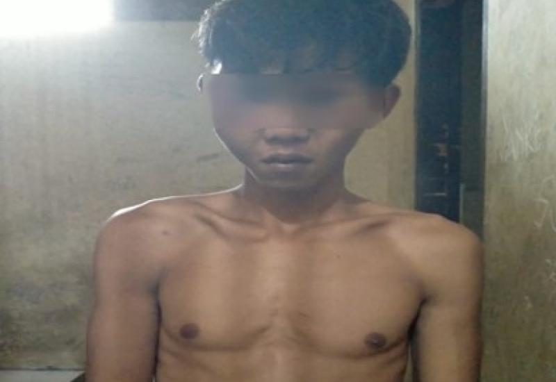 Sikat Kucing Anggora, Karyawan Swasta Dibui