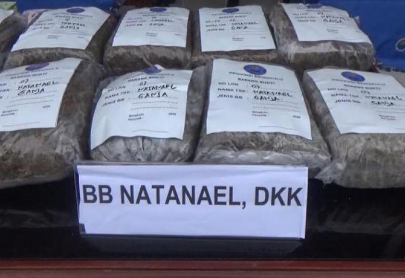 BNNP Bengkulu Musnahkan 20Kg Ganja Hasil Tangkapan Desember 2020